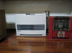 �ҡ�����501