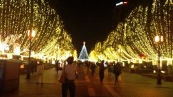 ����ߥ͡������20111115